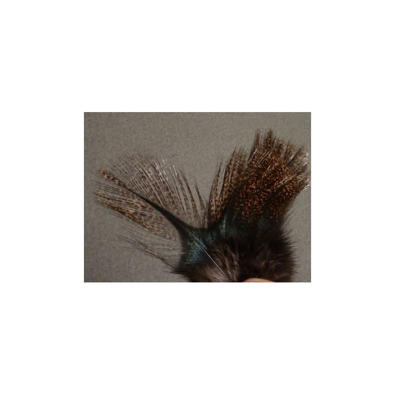 Flor de Escoba - 12 feathers