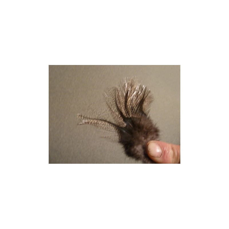 Corzuno claro - 12 feathers