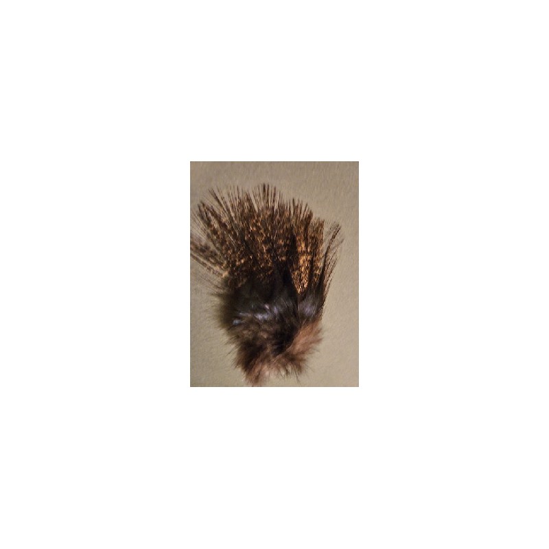 Corzuno oscuro - 12 feathers
